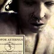 Il testo INTERLUDE - THE QUIET EARTH di SOPOR AETERNUS è presente anche nell'album La chambre d'echo (2004)