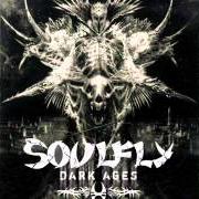 Il testo BLEAK dei SOULFLY è presente anche nell'album Dark ages (2005)