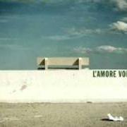 Il testo CANZONI PER PARRUCCHIERE degli STADIO è presente anche nell'album L'amore volubile (2005)