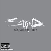 Il testo COULD IT BE di STAIND è presente anche nell'album 14 shades of grey (2003)