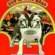 Il testo UMLEITUNG degli STATUS QUO è presente anche nell'album Dog of two head (1971)