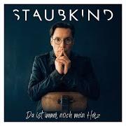 Il testo BIS ICH WIEDER GLAUBEN KANN degli STAUBKIND è presente anche nell'album Da ist immer noch mein herz (2023)