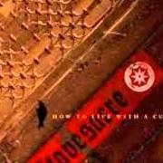 How to live with a curse How to live with a curse