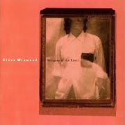 Il testo IN THE LIGHT OF DAY di STEVE WINWOOD è presente anche nell'album Refugees on the heart (1990)