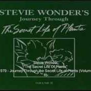 Il testo OUTSIDE MY WINDOW di STEVIE WONDER è presente anche nell'album Stevie wonder's journey through the secret life of plants (1979)