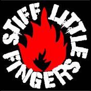 Il testo THAT'S WHEN YOUR BLOOD BUMPS degli STIFF LITTLE FINGERS è presente anche nell'album Now then... (1982)