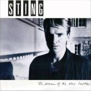 Il testo SHADOWS IN THE RAIN di STING è presente anche nell'album The dream of the blue turtles (1985)