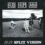 Il testo THINK FOR YOURSELF dei SUBHUMANS è presente anche nell'album 29:29 split vision (1986)