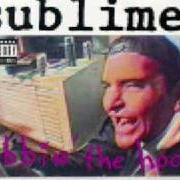 Il testo RALEIGH SOLILOQUY PT. III dei SUBLIME è presente anche nell'album Robbin the hood (1994)