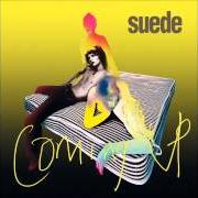 Il testo SATURDAY NIGHT dei SUEDE è presente anche nell'album Coming up (1996)