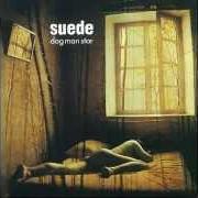 Il testo THE WILD ONES dei SUEDE è presente anche nell'album Dog man star (1994)