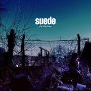 Il testo LIFE IS GOLDEN dei SUEDE è presente anche nell'album The blue hour (2018)