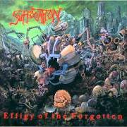 Il testo SEEDS OF THE SUFFERING dei SUFFOCATION è presente anche nell'album Effigy of the forgotten (1991)