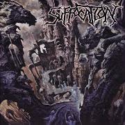 Il testo DEMISE OF THE CLONE dei SUFFOCATION è presente anche nell'album Souls to deny (2004)