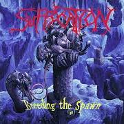 Il testo ORNAMENTS OF DECREPANCY dei SUFFOCATION è presente anche nell'album Breeding the spawn (1993)