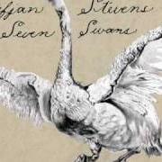 Seven swans