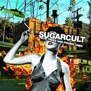 Il testo WHAT YOU SAY dei SUGARCULT è presente anche nell'album Palm trees and power lines (2004)