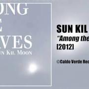 Il testo UK BLUES dei SUN KIL MOON è presente anche nell'album Among the leaves (2012)