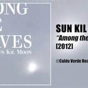 Il testo YOUNG LOVE dei SUN KIL MOON è presente anche nell'album Among the leaves (2012)