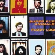 Il testo YSBEIDIAU HEULOG dei SUPER FURRY ANIMALS è presente anche nell'album Songbook, vol. i (2004)