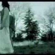 Il testo VIA! di SURSUMCORDA è presente anche nell'album L'albero dei bradipi (2004)