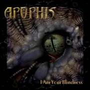 I am your blindness