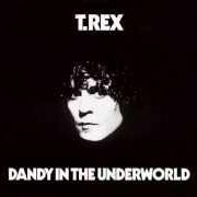 Il testo PAIN AND LOVE dei T. REX è presente anche nell'album Dandy in the underworld (1977)