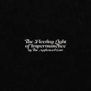 Il testo PETITION dei THE APPLESEED CAST è presente anche nell'album The fleeting light of impermanence (2019)