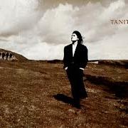 Il testo I LOVE YOU di TANITA TIKARAM è presente anche nell'album Ancient heart