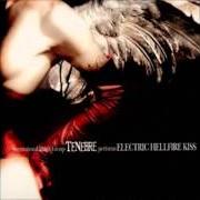 Il testo ALIENATION dei TENEBRE è presente anche nell'album Electric hellfire kiss (2002)