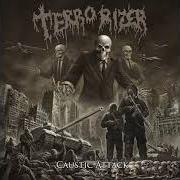 Il testo DEVASTATE dei TERRORIZER è presente anche nell'album Caustic attack (2018)