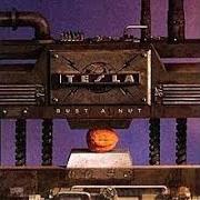 Il testo THE GATE dei TESLA è presente anche nell'album Bust a nut (1994)