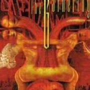 Il testo ALLEGIANCE dei TESTAMENT è presente anche nell'album The gathering (1999)