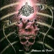 Il testo BLESSED WITH THE WRATH OF EVIL dei THE ABYSS è presente anche nell'album Summon the beast (1996)