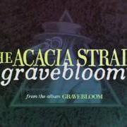 Gravebloom