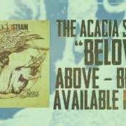 Il testo BELOW dei THE ACACIA STRAIN è presente anche nell'album Above, below (2013)