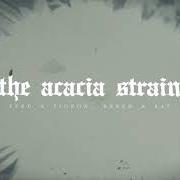 Il testo THE LUCID DREAM dei THE ACACIA STRAIN è presente anche nell'album Slow decay (2020)