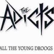 All the young droogs