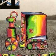 Il testo EGG TIMER degli ALL è presente anche nell'album Percolater (1992)