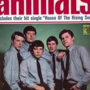 Il testo ONE MONKEY DON'T STOP NO SHOW dei THE ANIMALS è presente anche nell'album Animalization [usa] (1966)