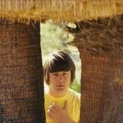 Il testo I WAS MADE TO LOVE HER dei THE BEACH BOYS è presente anche nell'album Wild honey (1967)