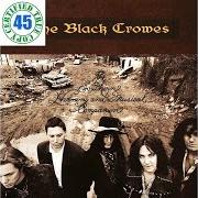 Il testo NO SPEAK NO SLAVE dei THE BLACK CROWES è presente anche nell'album Southern harmony & musical companion (1992)