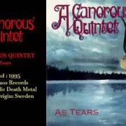 Il testo THROUGH ENDLESS ILLUSIONS degli A CANOROUS QUINTET è presente anche nell'album As tears - ep (1994)