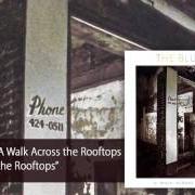 Il testo AUTOMOBILE NOISE dei THE BLUE NILE è presente anche nell'album Walk across the rooftops (2013)