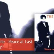 Il testo HAPPINESS dei THE BLUE NILE è presente anche nell'album Peace at last (1996)