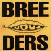 Il testo FORTUNATELY GONE dei THE BREEDERS è presente anche nell'album Pod (1990)