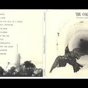Il testo WHITE BIRD dei THE CORAL è presente anche nell'album Distance inbetween (2016)