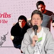 Il testo SELLING A VIBE dei THE CRIBS è presente anche nell'album Selling a vibe (2026)