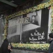 Il testo LIKE A GIFT GIVER dei THE CRIBS è presente anche nell'album In the belly of the brazen bull (2012)