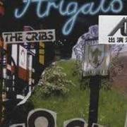 Il testo YOU'RE GONNA LOSE US dei THE CRIBS è presente anche nell'album Arigato cockers (2006)